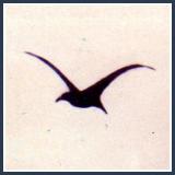 Il Gabbiano