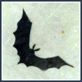 Il Pipistrello