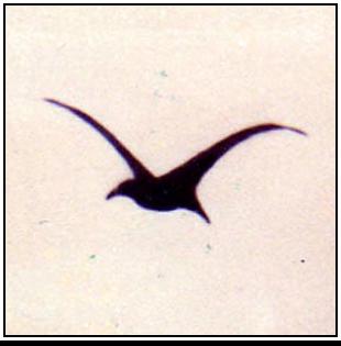 Il Gabbiano