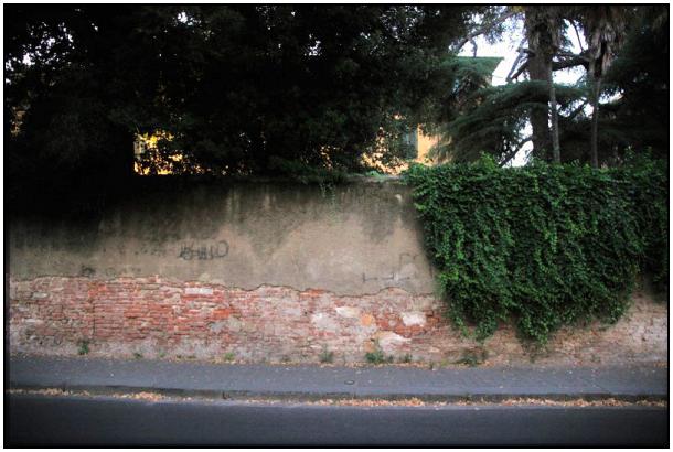 Il muro su cui è stato realizzato uno dei Gabbiani a Pisa
