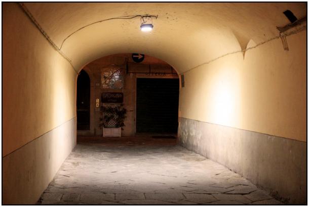 Il muro su cui è stato realizzato uno dei Gabbiani a Pisa
